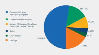 In welchen Bereichen sind Bürgergenossenschaften überwiegend aktiv? (Grafik)
