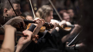 Kultur (Foto: Larissa Birda)